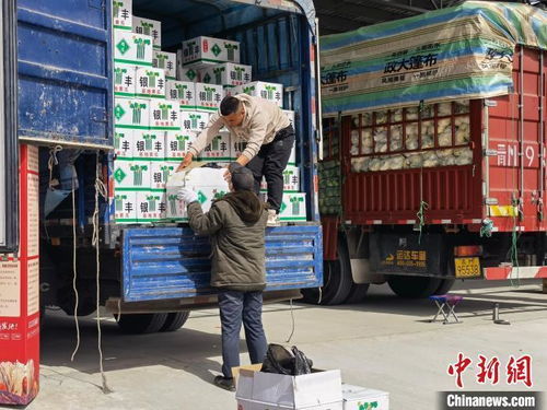 北京 青海 新发地投入运营